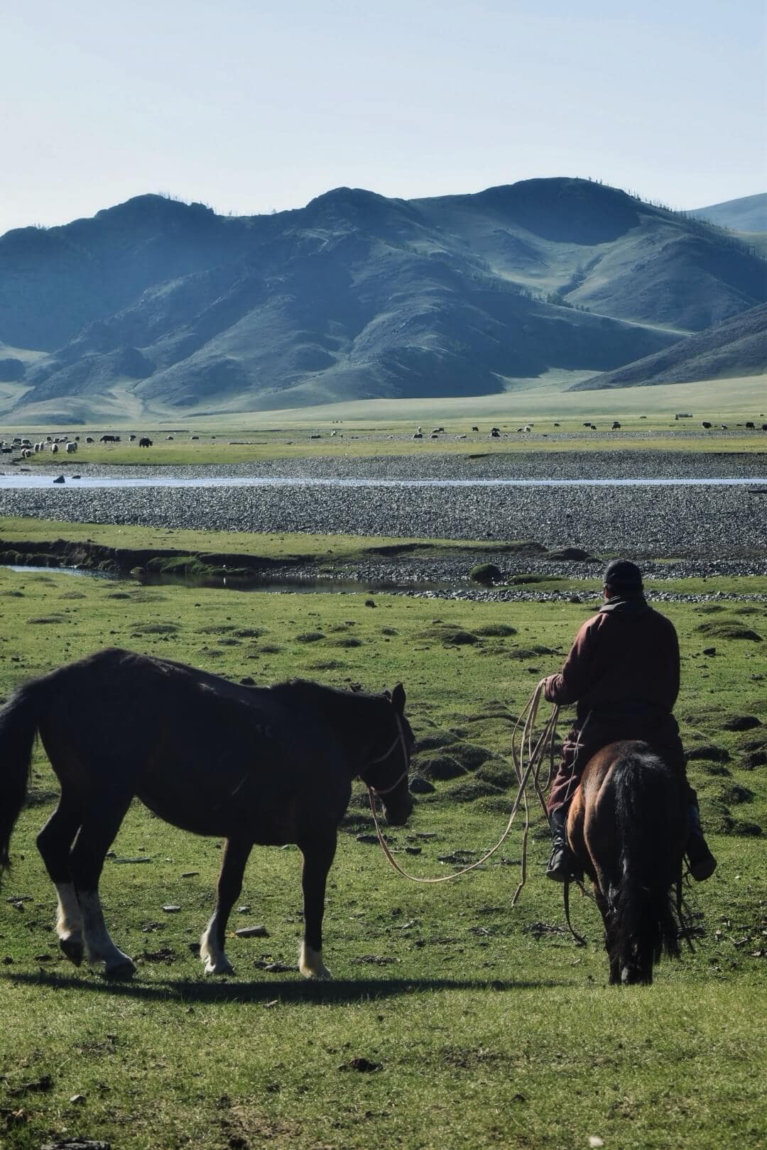 Horseman looking across the Orkhon Valley