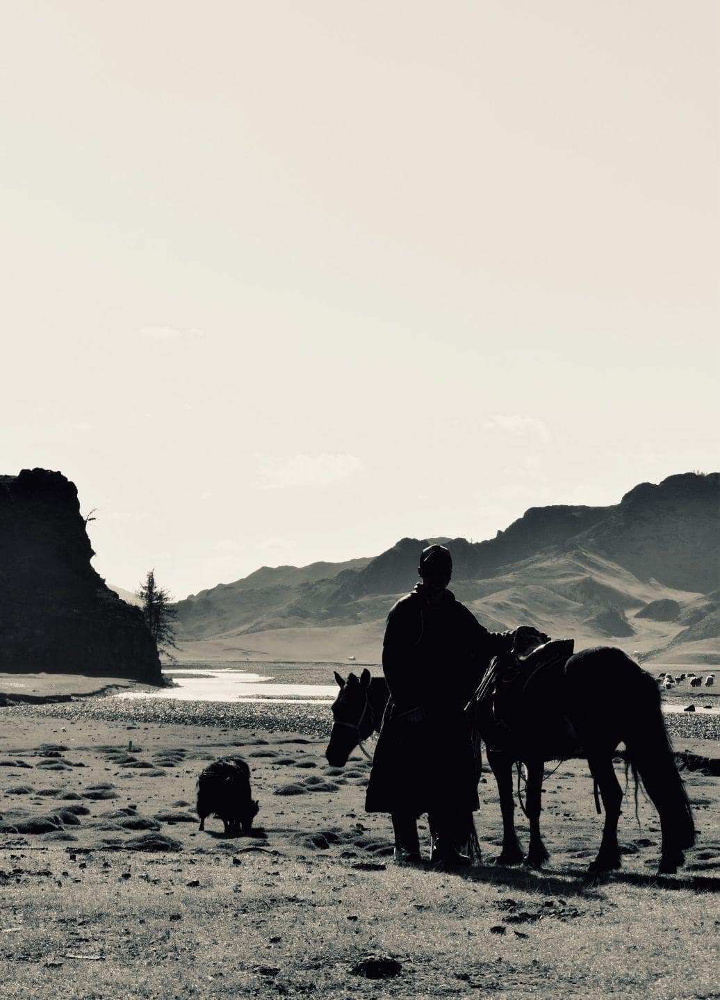Horseman silhouetted beside the river