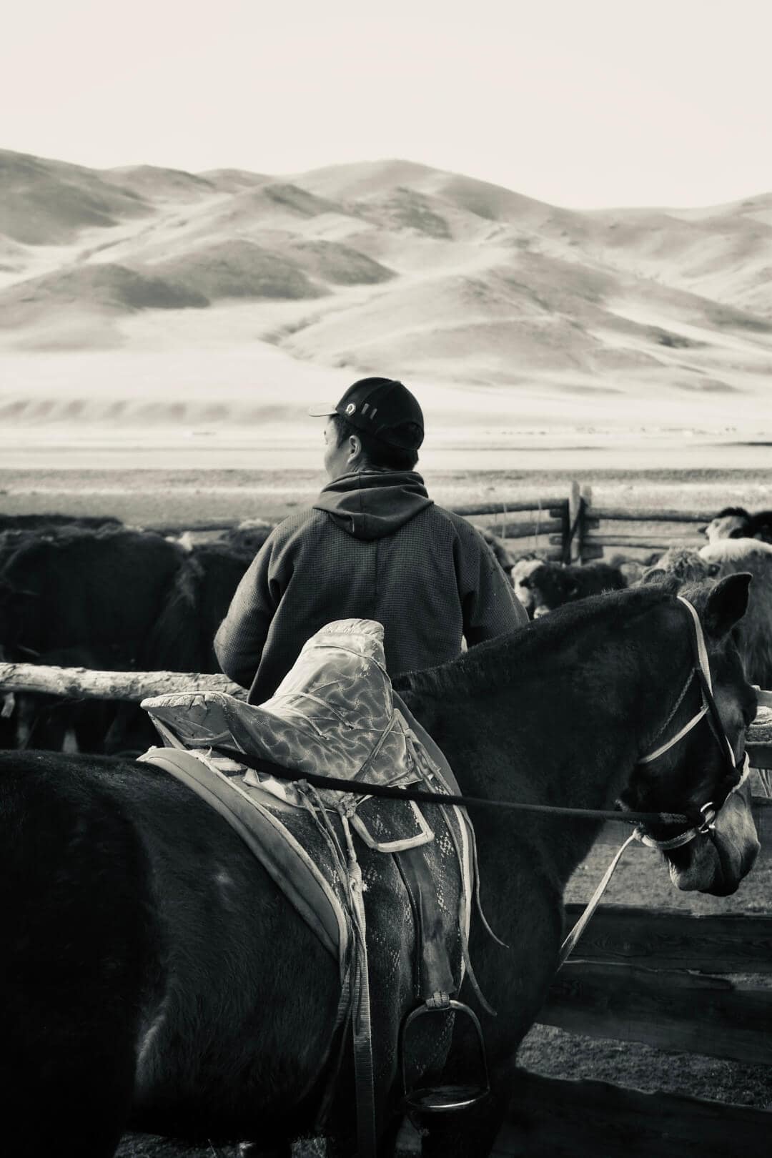 Black and white saddle view over the valley