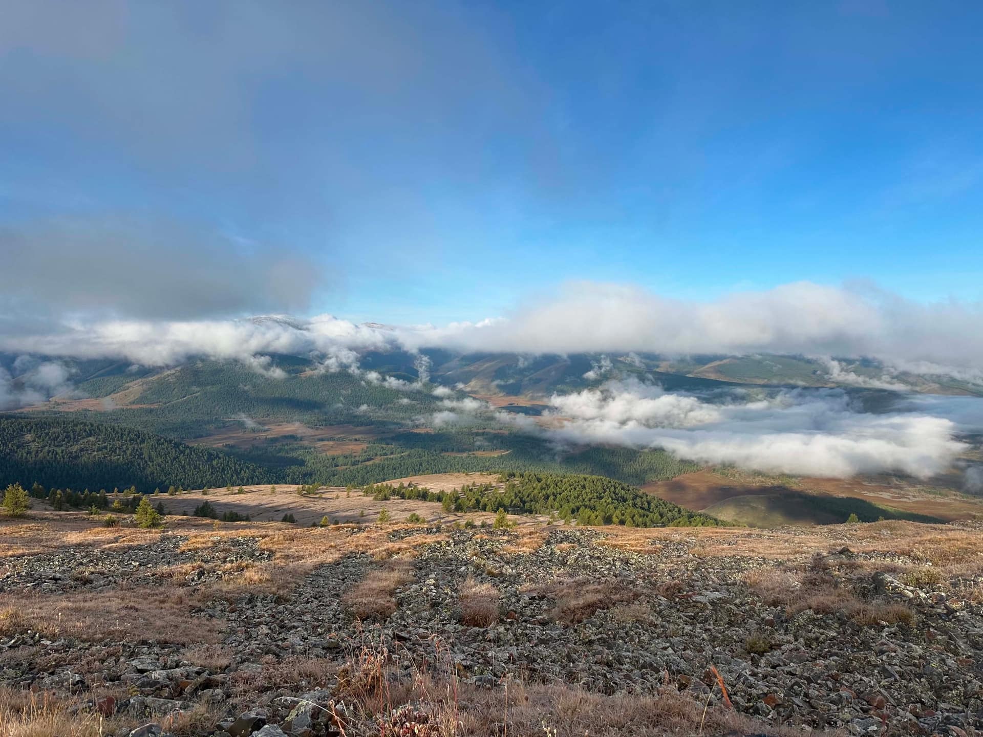 Cloud lying below the ridge over forested valleys