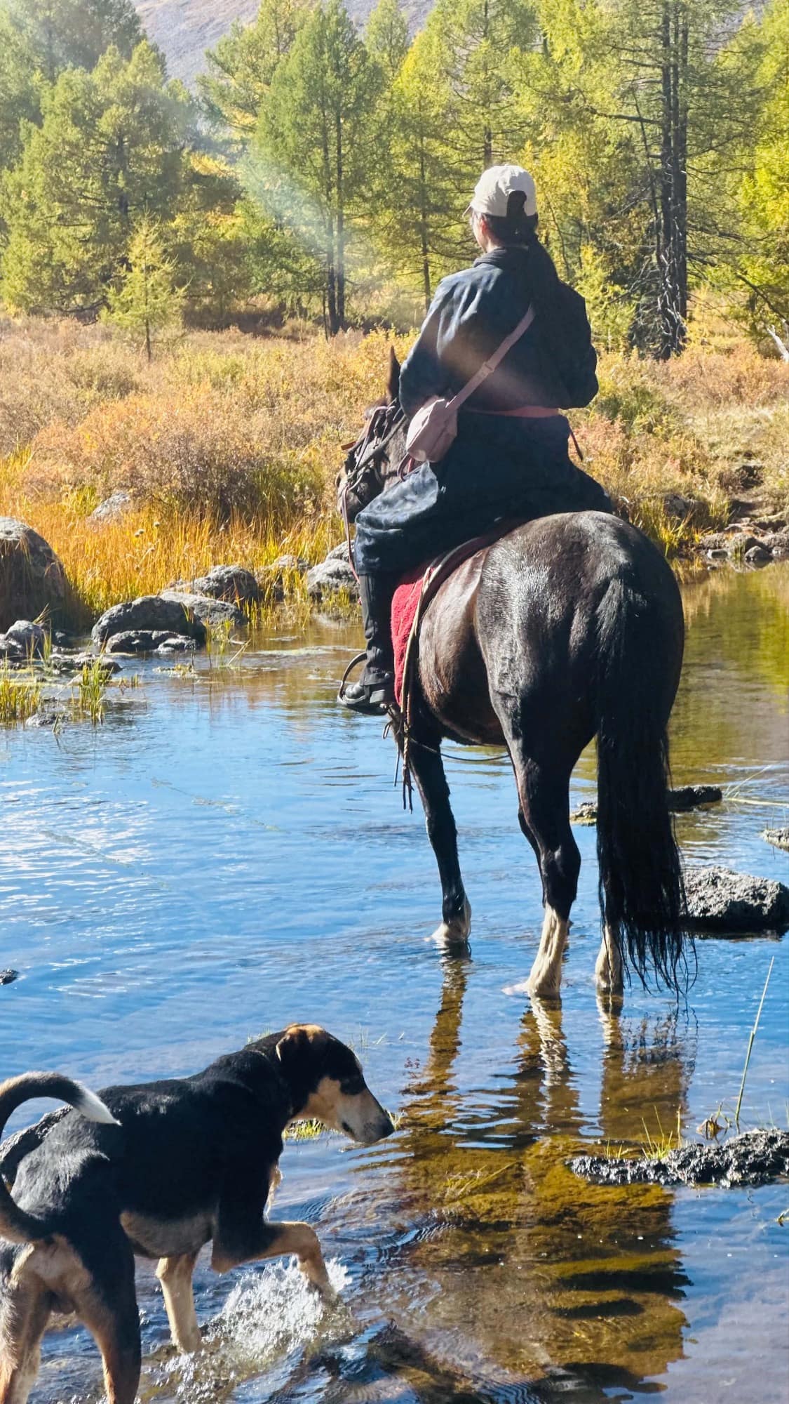 Riding across the river through the larch with the camp dog following