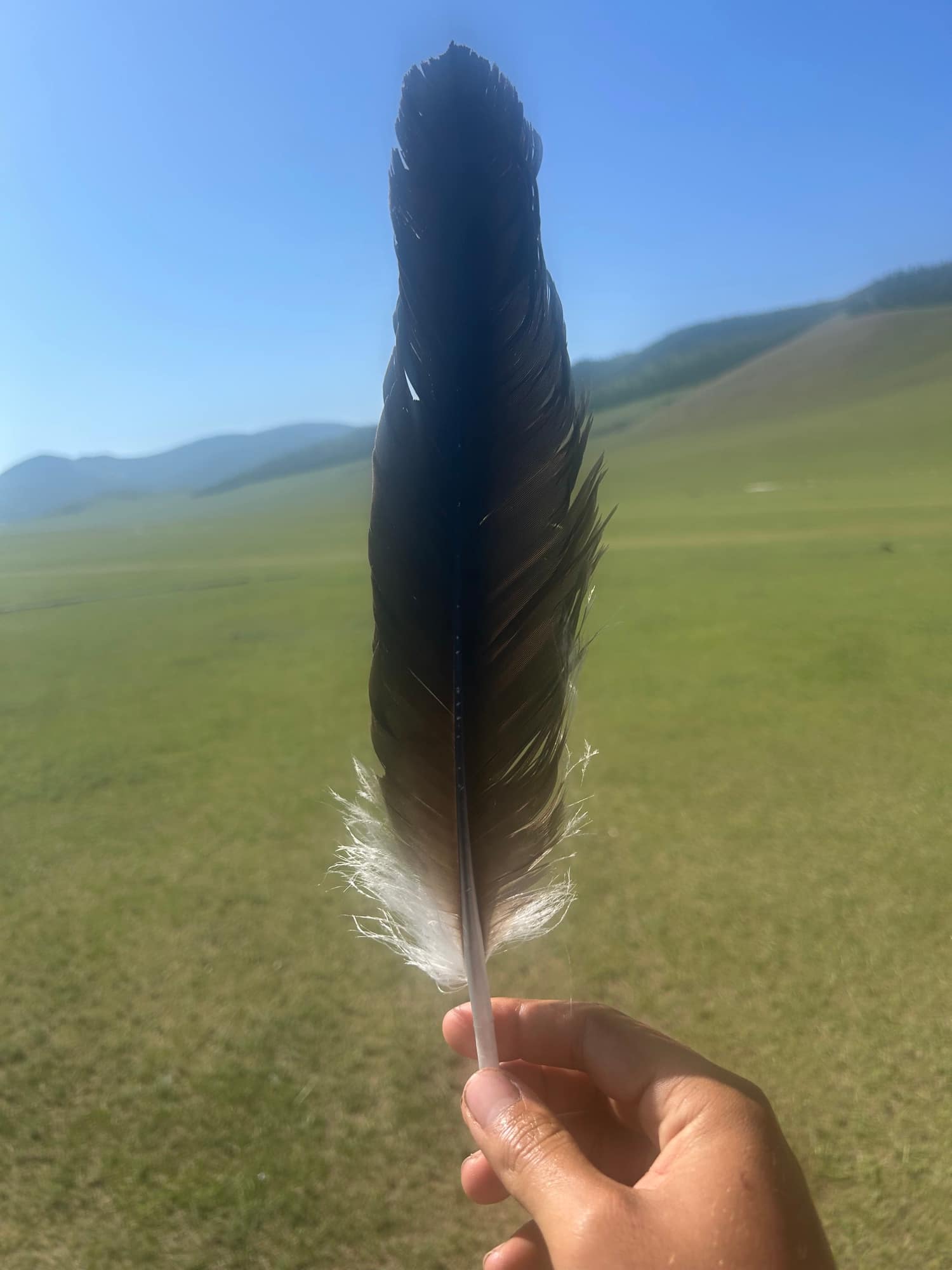 An eagle feather held up against the open steppe