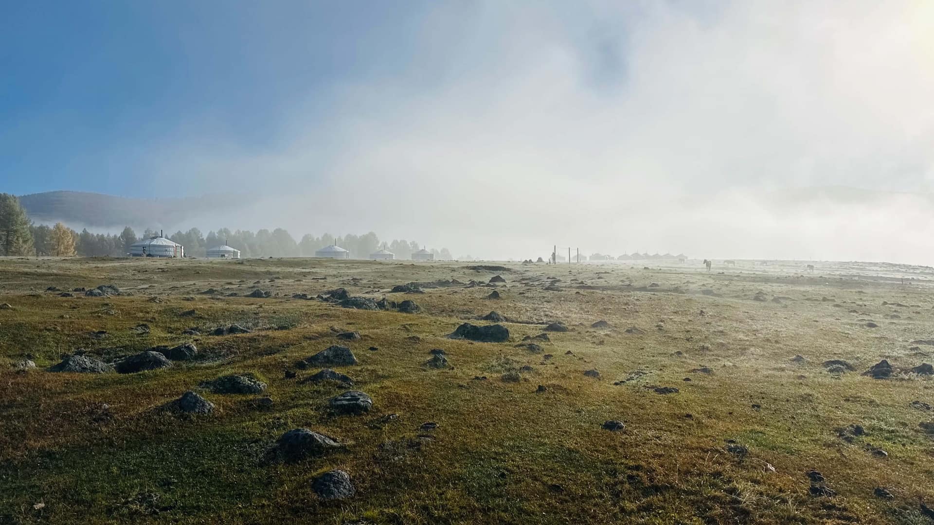 The ger camp along the treeline in morning mist, horses grazing on the frost