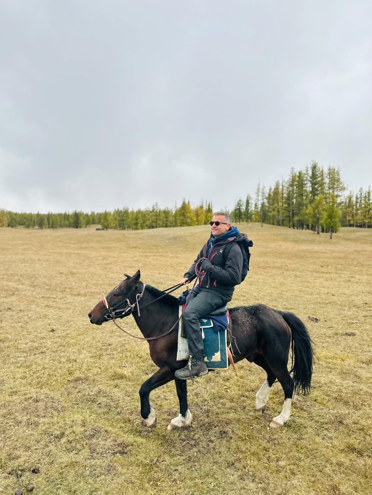 A smiling guest riding a dark horse across the autumn meadow by the larch forest