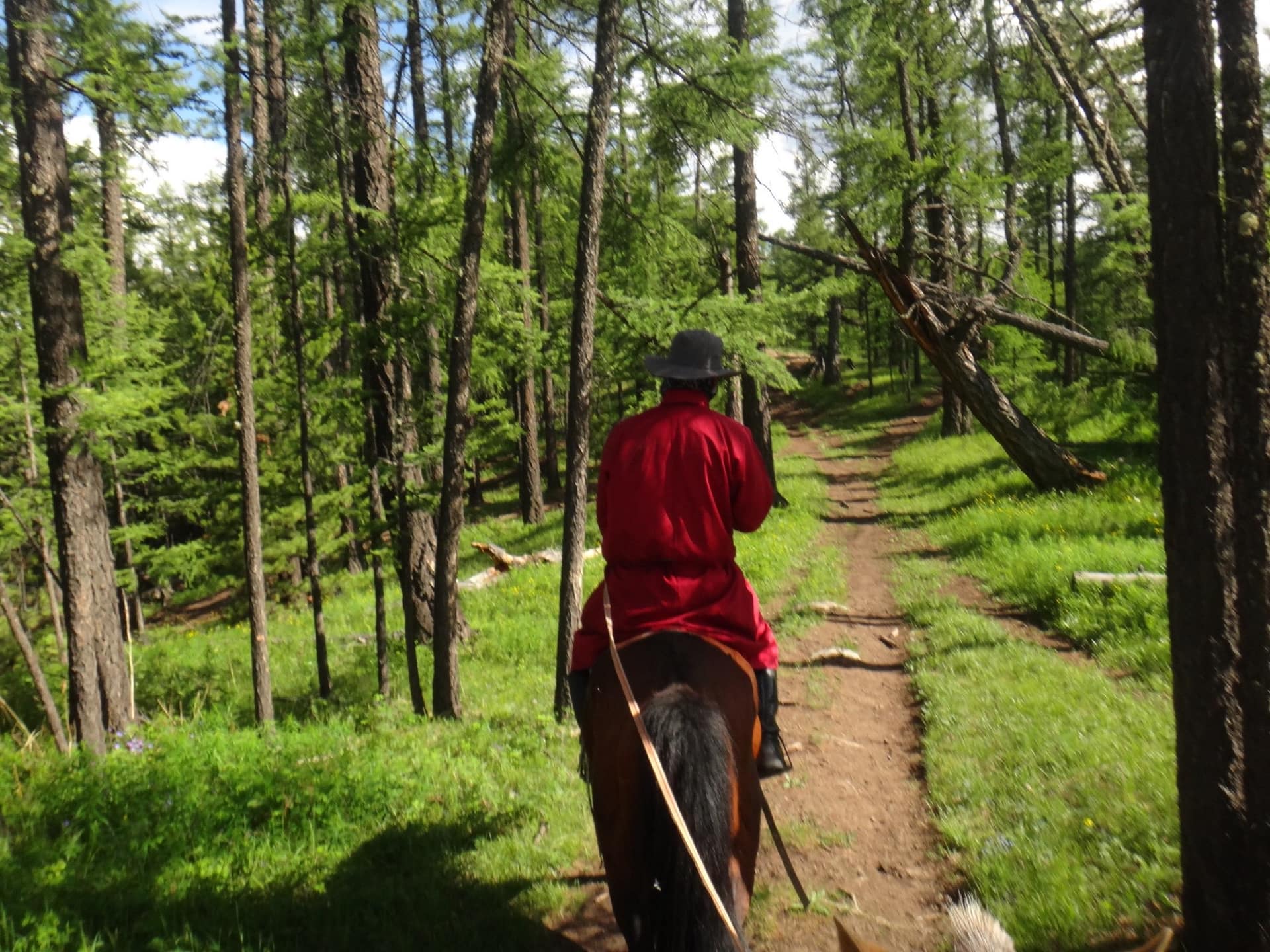 The guide in a red deel riding ahead on a forest trail