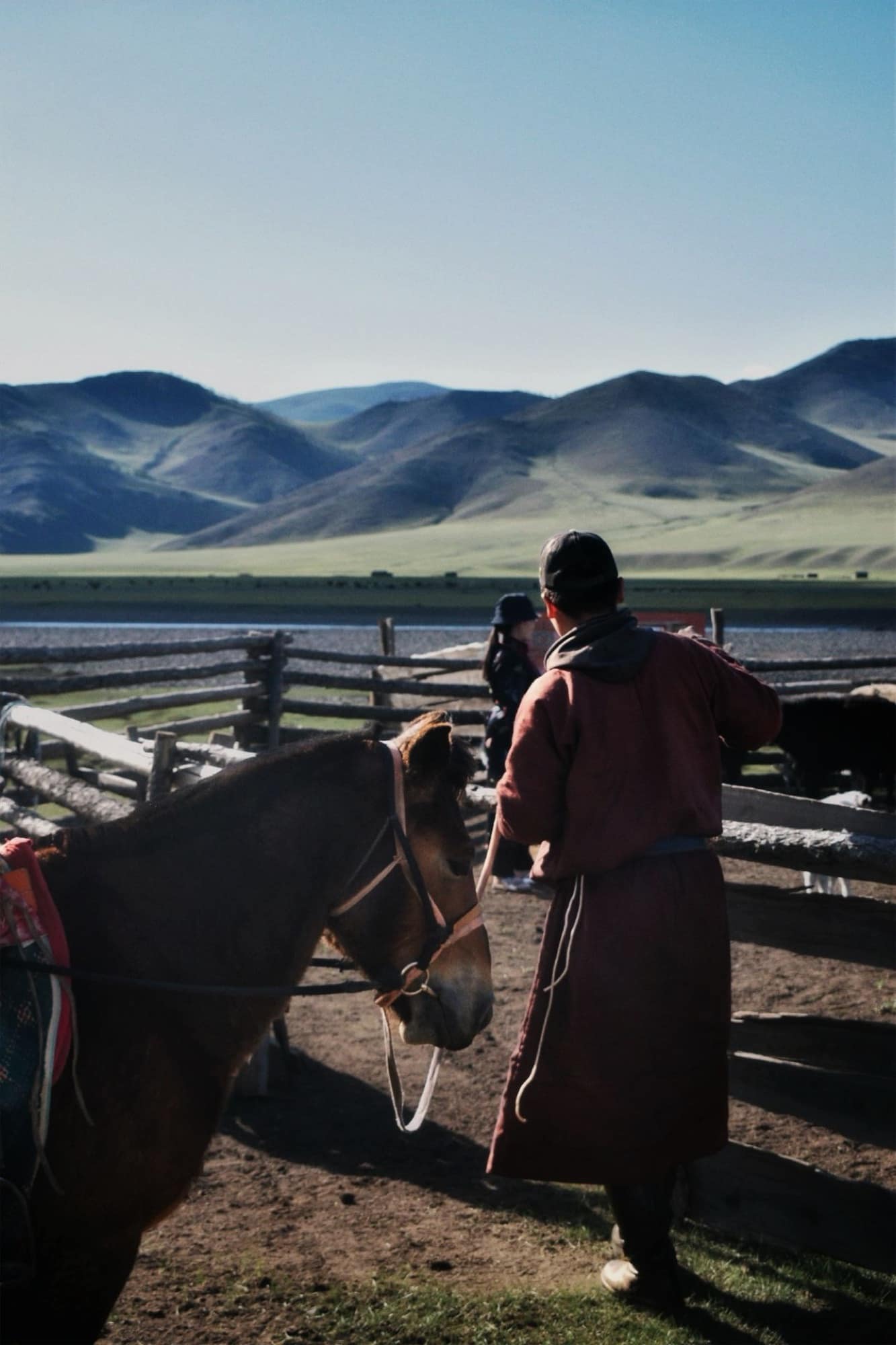 A herder leading a saddled horse out of the corral