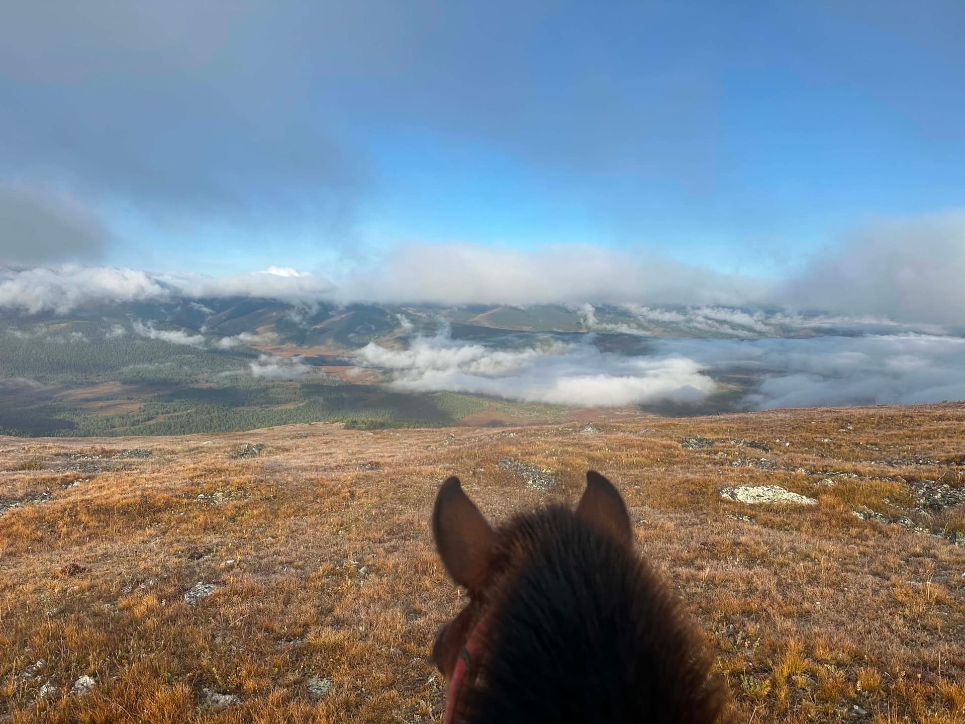 View between a horse’s ears from a ridge above the clouds