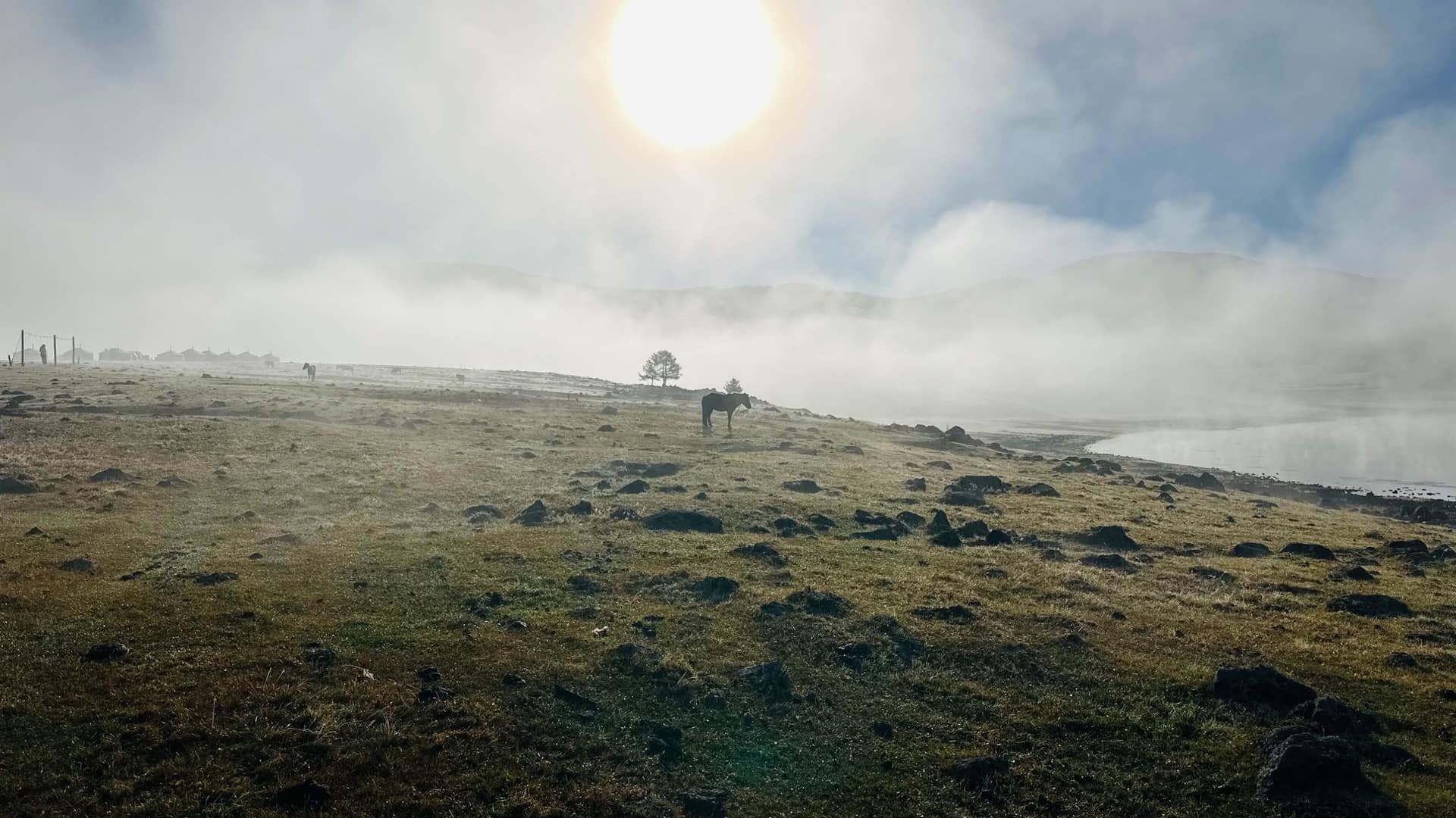 A horse grazing in morning mist below the low sun, the camp behind