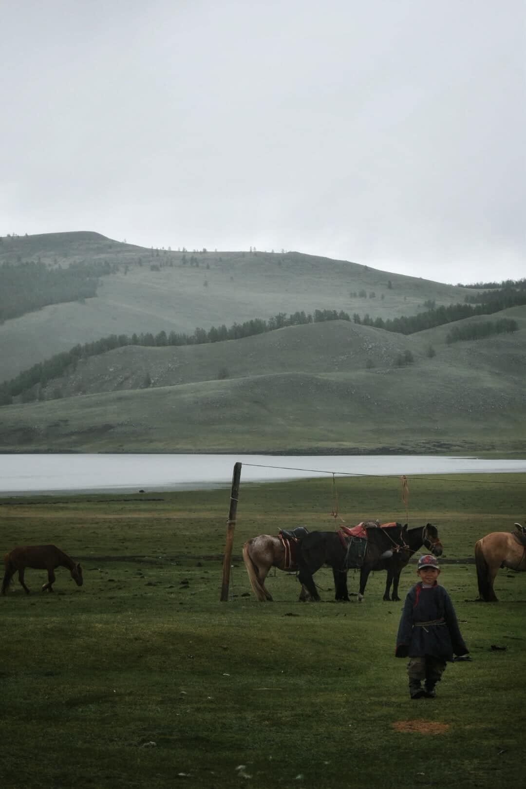 Child walking past horses beside the lake