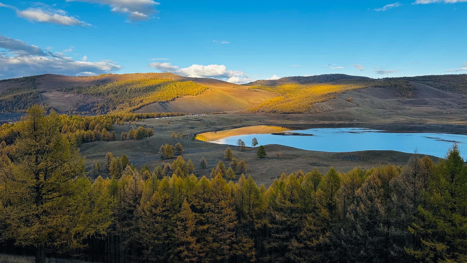 Looking out over the larch forest to one of the lakes, the ger camp and golden hills catching the last light on the far shore