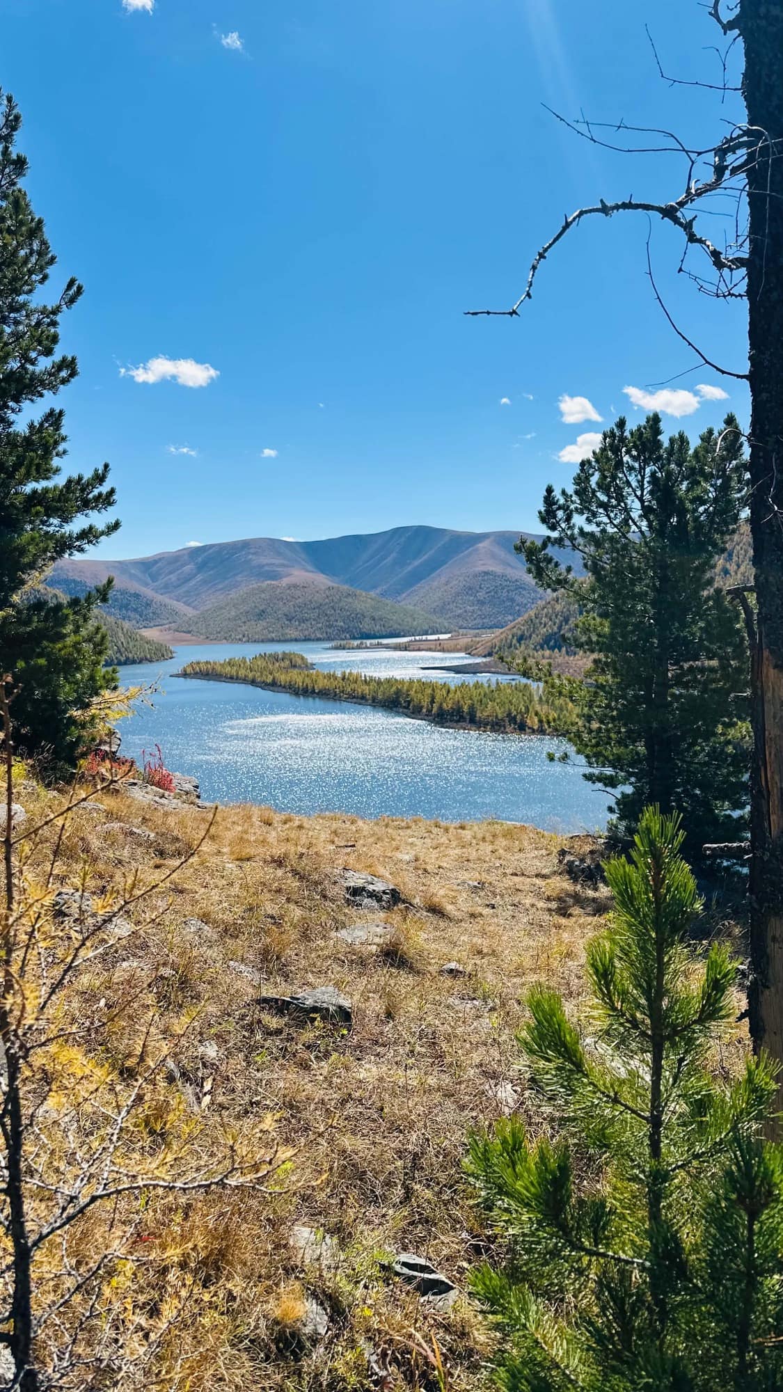 One of the Eight Lakes and its wooded islands seen through the pines