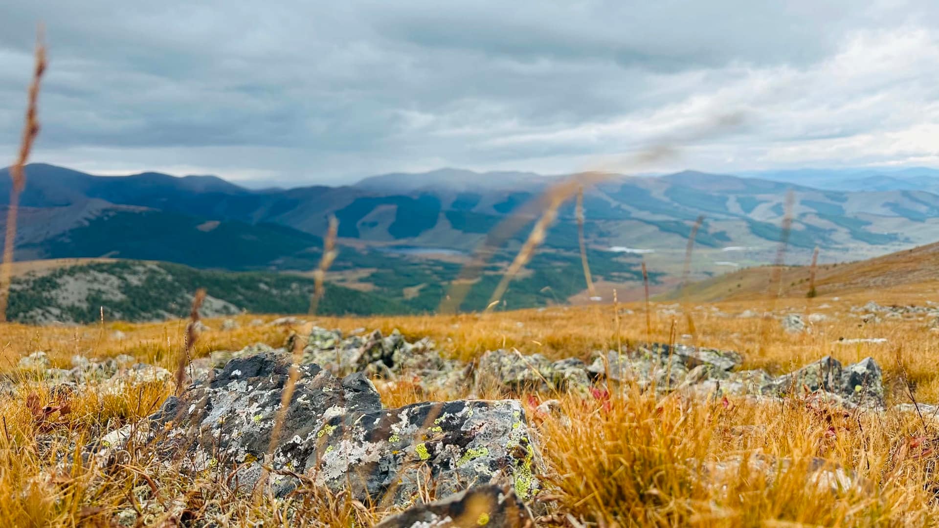 Lichen-covered rocks and autumn grass on a high ridge