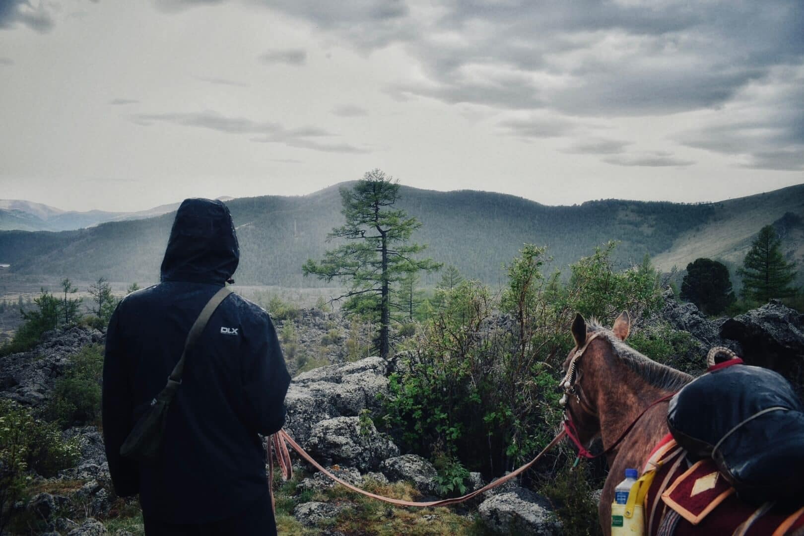 Rainy horseback overlook above the valley