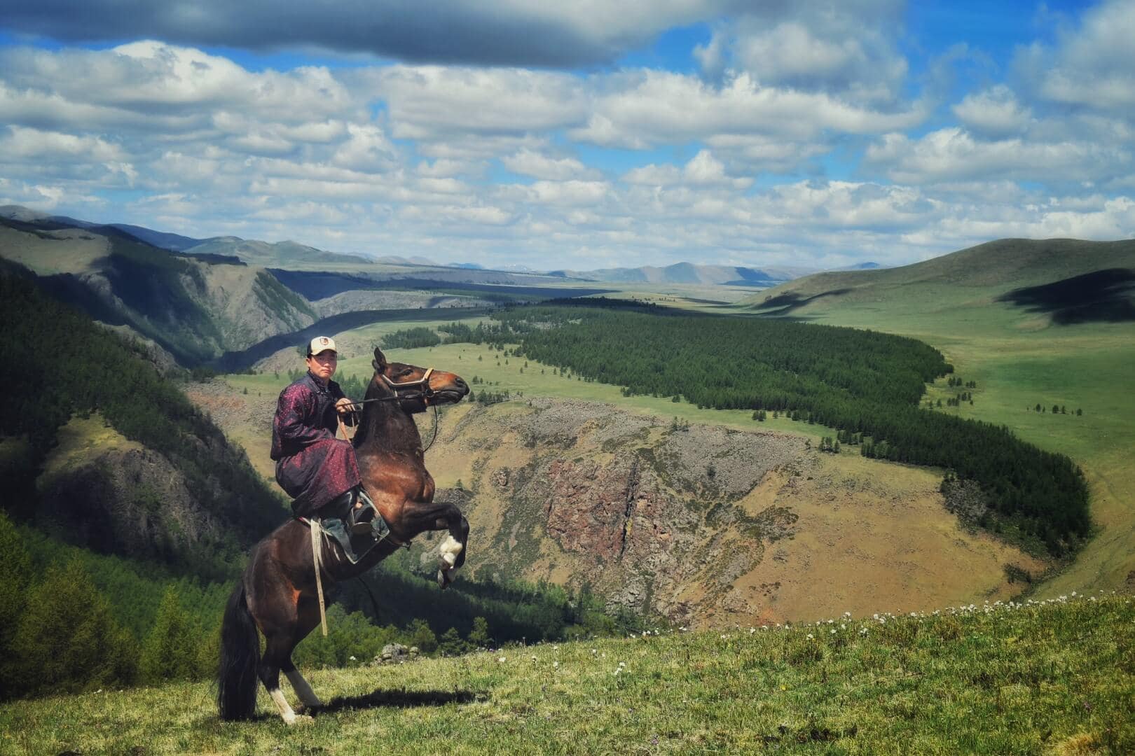 Horse rearing above the valley