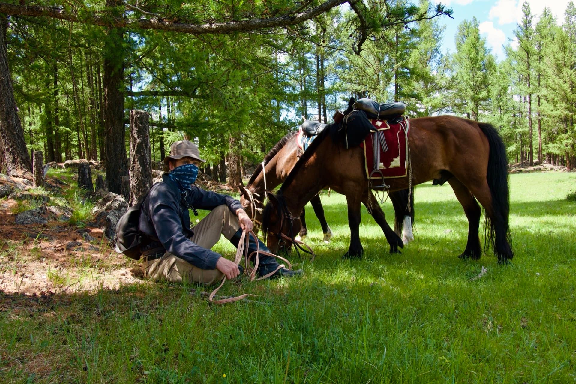 Resting in the shade while the horses graze