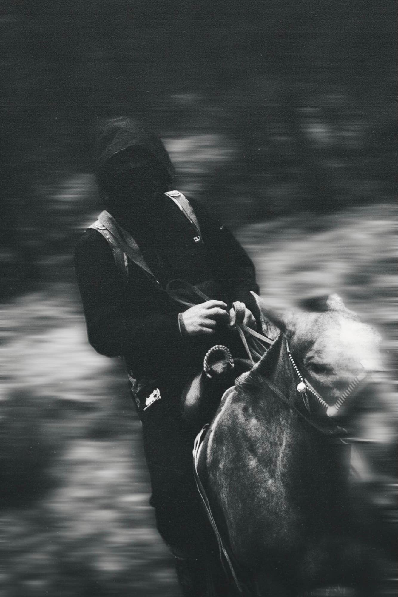 Rider guiding a horse, caught mid-motion in black and white