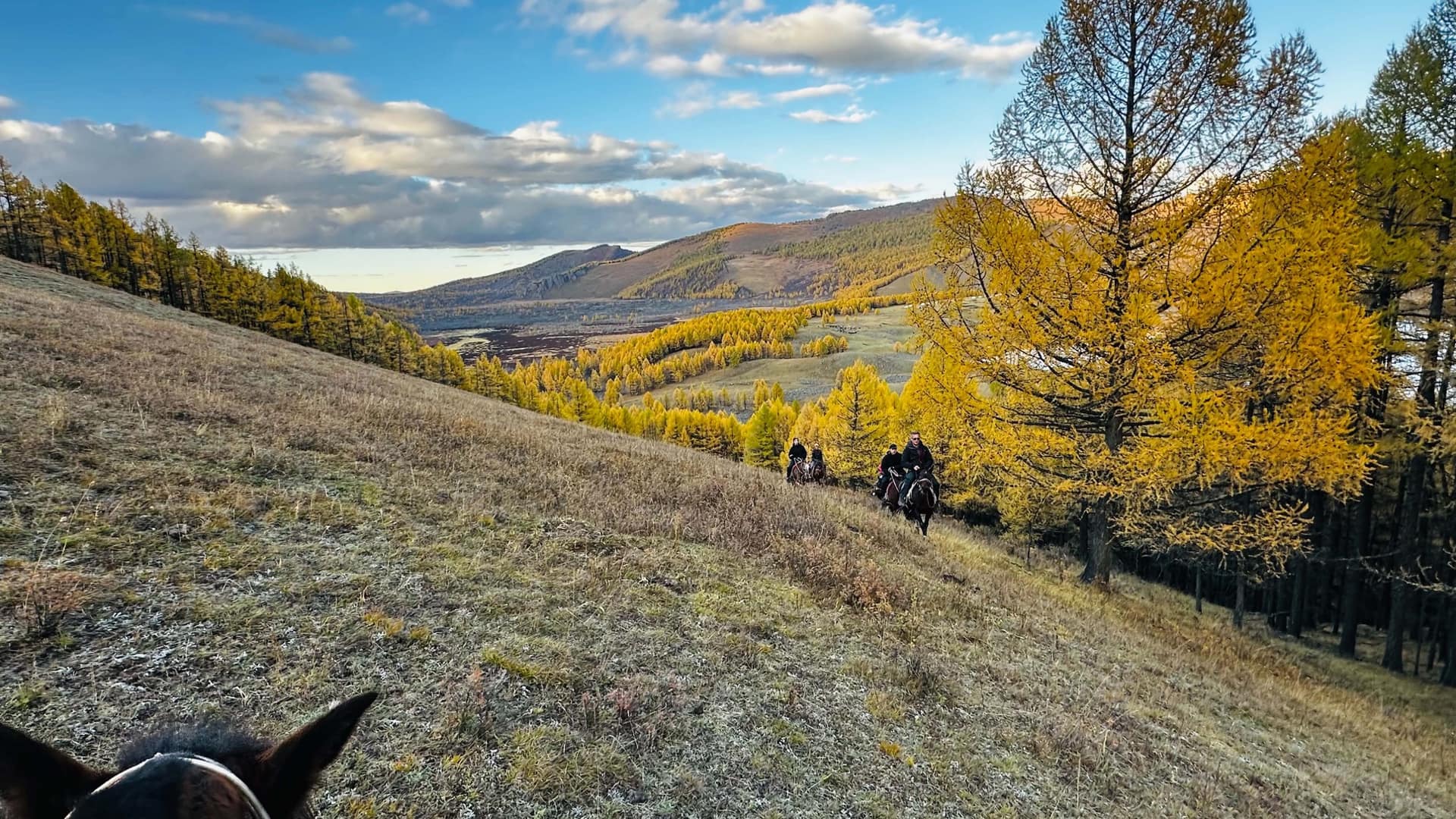 Riders climbing the frosted slope towards the camera, seen past a horse’s ears