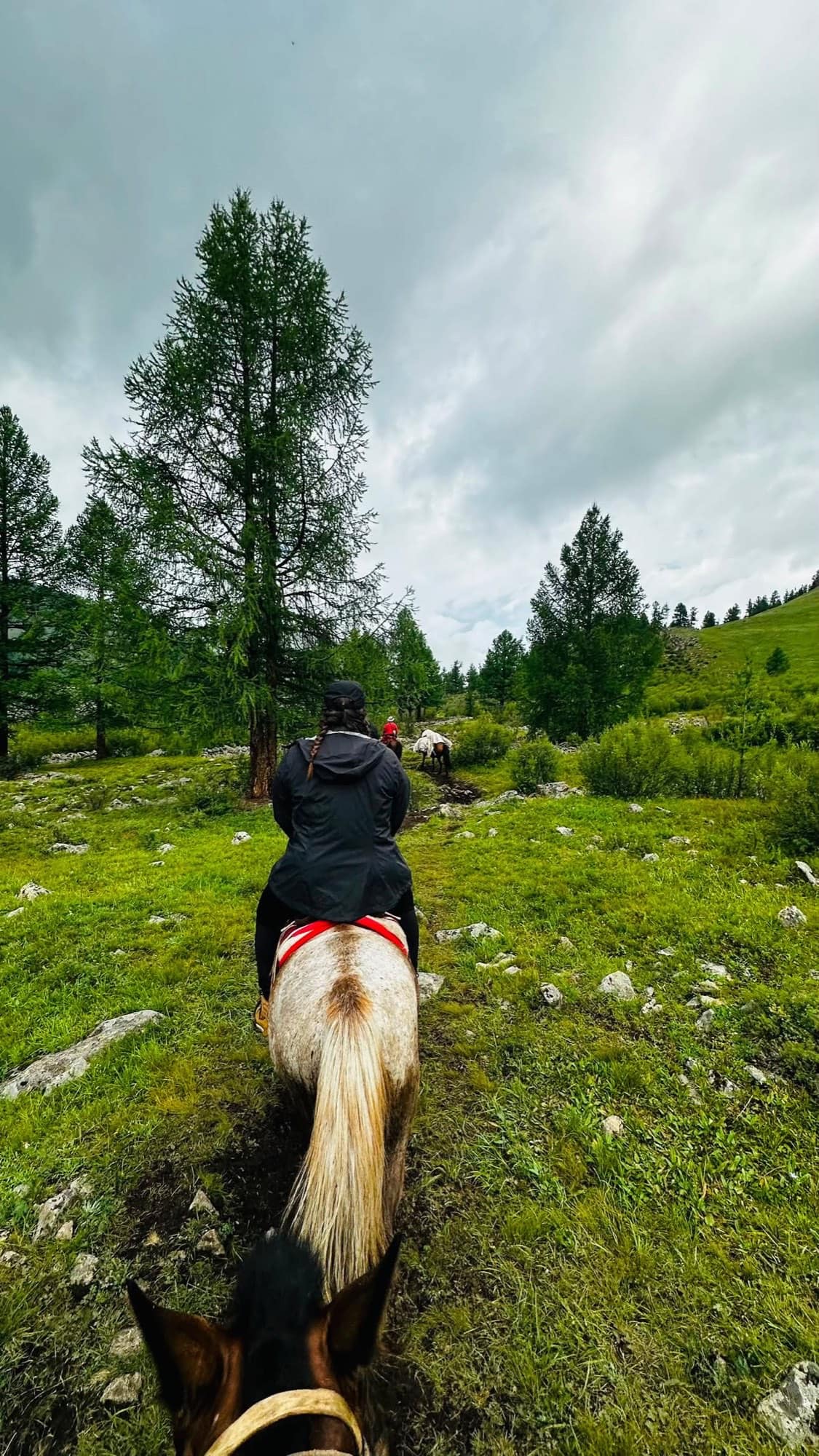 Riding behind the group along a wet trail through the larch