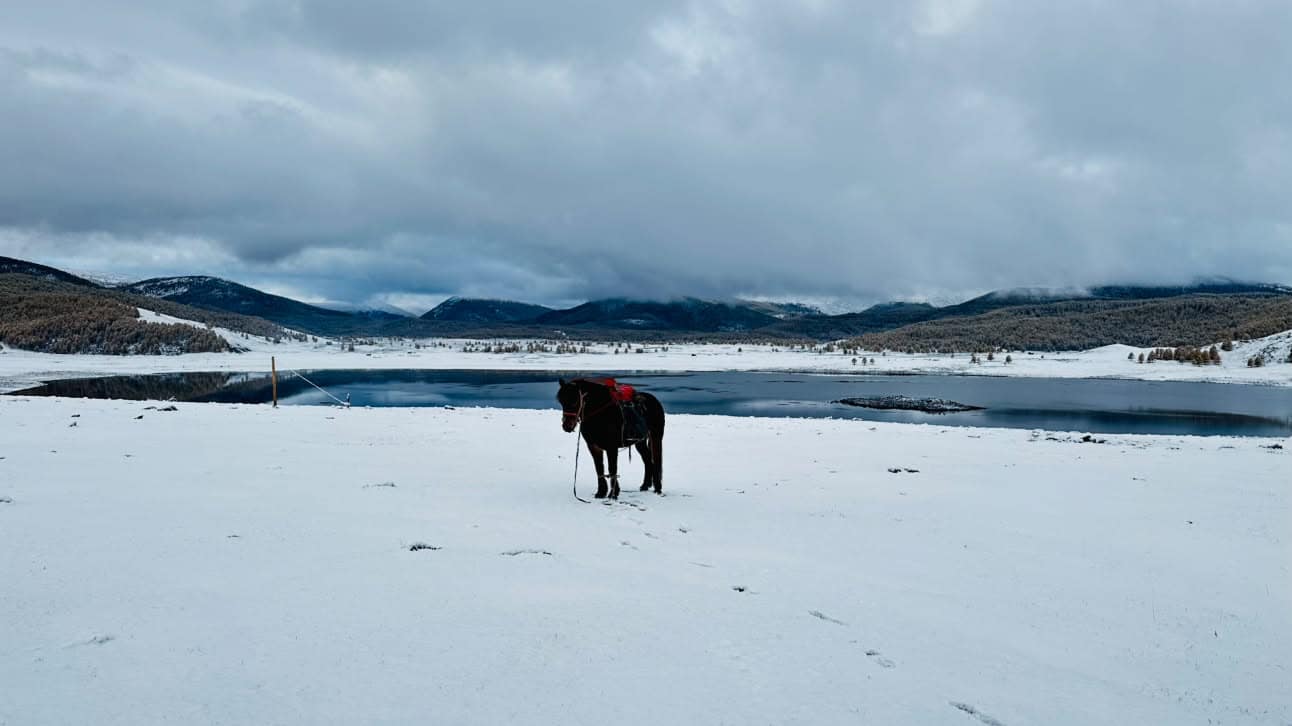 A saddled horse standing in the snow beside one of the lakes under low cloud
