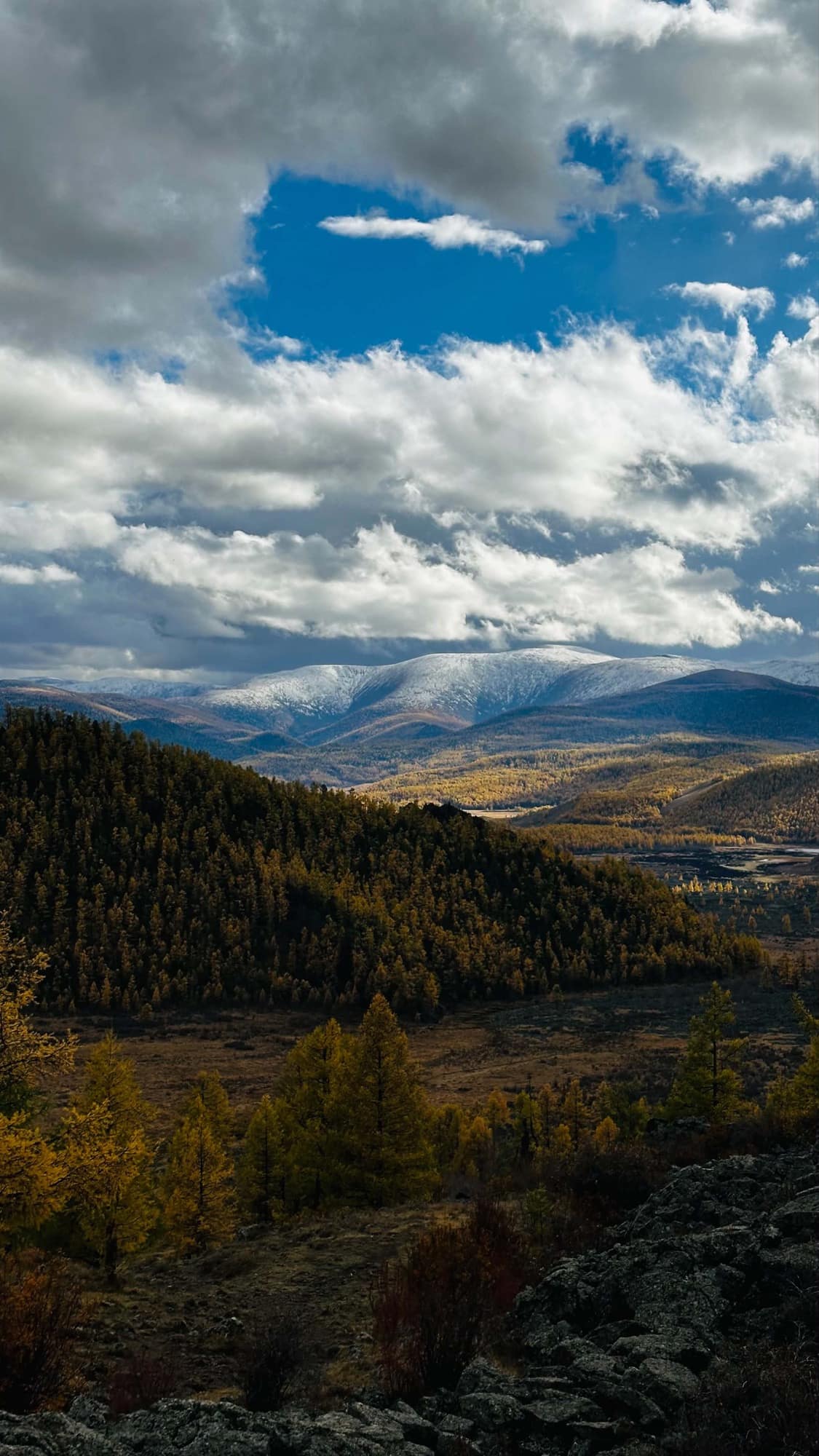 Fresh snow on the peaks above the larch valley, broken cloud overhead and volcanic rock in the foreground