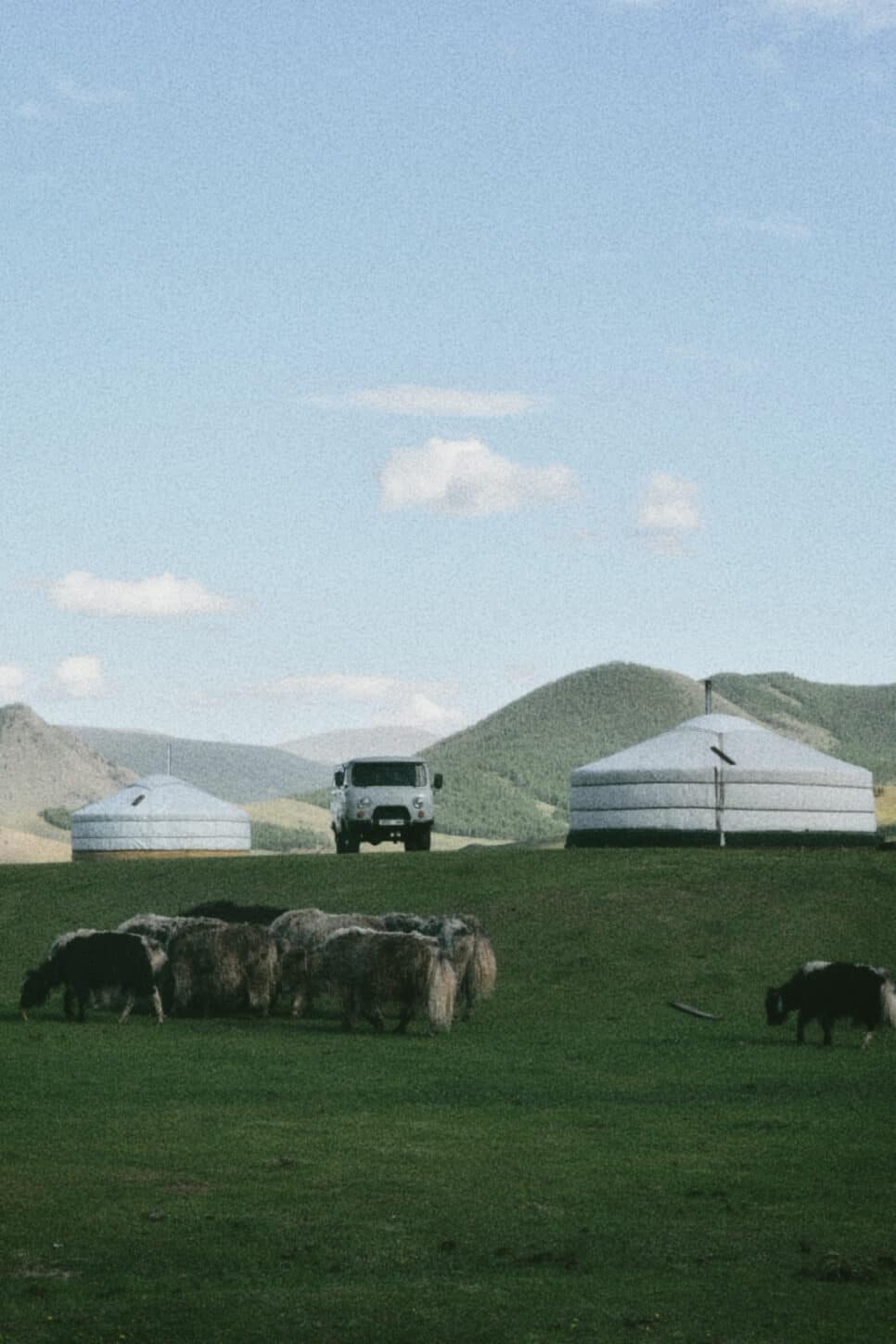 Gers and grazing yaks in the valley