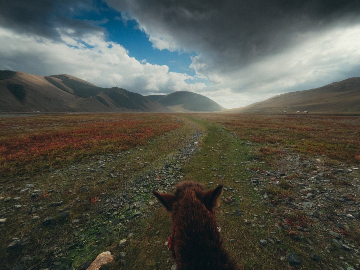 Horseback view across a remote Mongolian mountain valley
